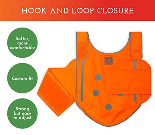 SPOT THE DOG! Reflective Dog Vest - High Visibility Safety Dog Accessories, Fluorescent Dog Apparel for Walking, Hiking & Camping, Hunting (Blaze Orange, Small) - size: Small
