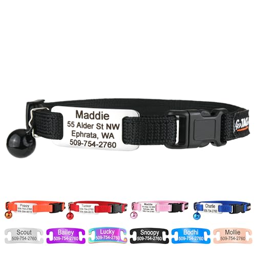 GoTags Personalized Cat Collars with Tag, Engraved Custom Cat Collar with Name and Phone, Breakaway Collar with Safety Buckle and Bell, Adjustable for Cats and Kitten (Black with Nameplate) - color: Black, size: One-Size (Classic)