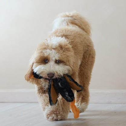 SPOT Skinneeez Mini Mallard Duck 13 Inch Stuffing-Free Plush Squeaky Dog Toy – Soft Interactive Toy for Small and Medium Dogs – Mess-Free Play for Light & Moderate Chewers – Assorted Styles - style: Mini Mallard Duck