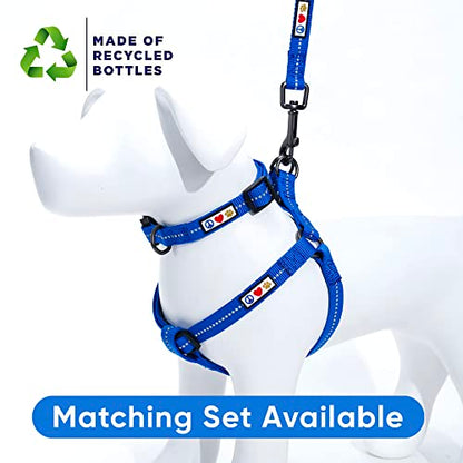 Pawtitas Recycled Dog Collar with Reflective Stitched Puppy Collar Made from Plastic Bottles Collected from Oceans Extra Small Blue Ocean - color: Recycled Blue, size: X-Small (Pack of 1)