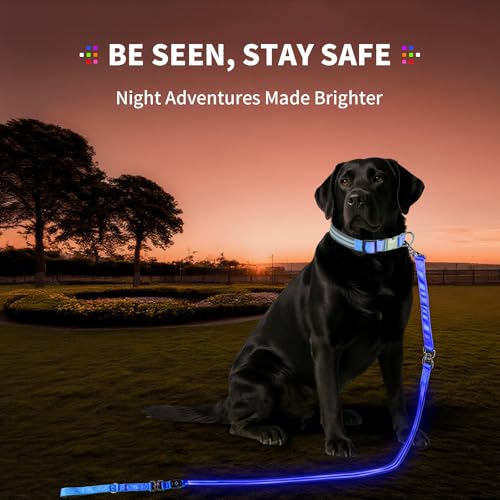 Night Walking LED Dog Leash - 6FT Reflective & Waterproof Light Up Safety Leashes for Dogs - USB Rechargeable, Blue - color: Blue(Fiber optic version)
