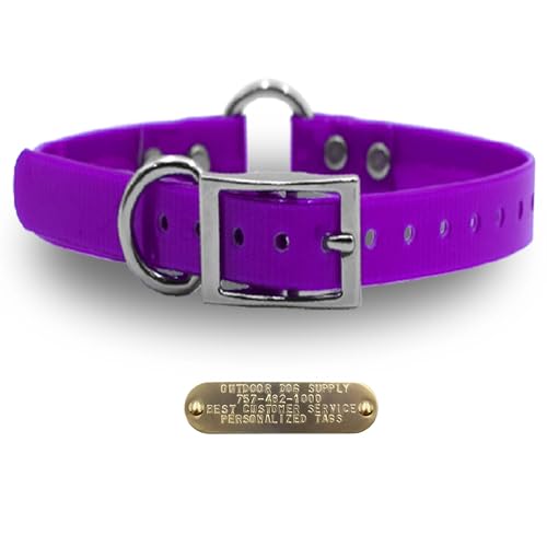 Outdoor Dog Supply 1" Heavy Duty Waterproof D-Ring & Center O-Ring Dog Collar for Medium & Large Dogs | Custom 3/4" Brass Nameplate (Purple, 21") - color: Purple, size: 21" Long