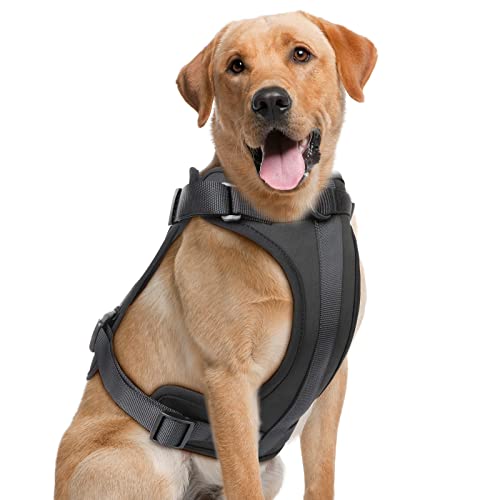 No Pull Lightweight Dog Harness: Adjustable Breathable Mesh Pet Vest Harness with Soft & Comfortable Cushion, for Small Medium Large Dogs (Large, Black) - color: Black, size: L:Neck=17"-22"/Chest=25"-36.5"