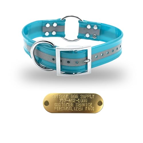 Outdoor Dog Supply 1.5" Wide 25" Long Reflective Teal Waterproof Collar with Center Ring & Custom Brass Name Plate – Durable, Odor-Resistant for Large & XL Breeds - color: Reflective Teal, size: 25" Long