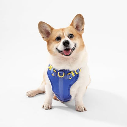 HNS1002C Arlo Medium Adjustable Soft Padded No Pull Pet Harness with 3 Buckles and 3 Leash Clips, Curaçao - color: Dark Blue, size: Medium (Chest: 18 - 28")