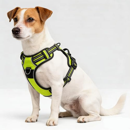 Green No-Pull Dog Harness with 2 Leash Clips，Soft Padded Vest for Small Dog, Adjustable Reflective Dog Vest Easy to Put on and Take Off,(Neck: 13"~17", Chest: 17"~21",Green Small) - color: Green, size: Small