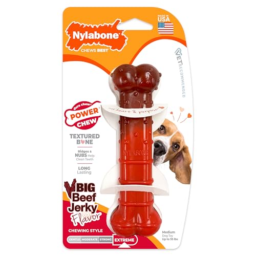 Nylabone Textured Bone Power Chew Toy for Dogs, Durable & Tough Dog Toys for Aggressive Chewers, Beef Jerky Flavor, Medium Dogs - Up to 35 lbs, 1 Count - size: Medium