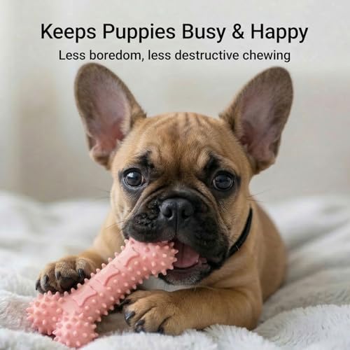 Puppy Chew Toys 6 Pack, Soft TPR Teething Toys for Puppies 2–10 Months, BPA Free Non Toxic Set with Treat Dispensing Stick, Tug Ring & Squeaky Ball for Small Medium Dogs (Pink) - color: Pink