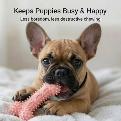 Puppy Chew Toys 6 Pack, Soft TPR Teething Toys for Puppies 2–10 Months, BPA Free Non Toxic Set with Treat Dispensing Stick, Tug Ring & Squeaky Ball for Small Medium Dogs (Pink) - color: Pink