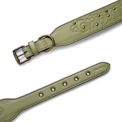 Blueberry Pet Premium Embossed Sage Green Glam Silver-Powered Freshness Microfiber Leather Dog Collar with Antique Brass Studs - color: Sage Green, size: Medium