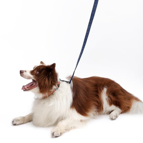 Soft Leather 4ft Dog Collar and Leash Set,Stylish 4ft PU Leather Dog Training Leash, Adjustable Durable Pet Collars with Quick Release Buckle for Large Dogs,Medium Dogs,Terracotta (Blue, 4 feet) - color: blue