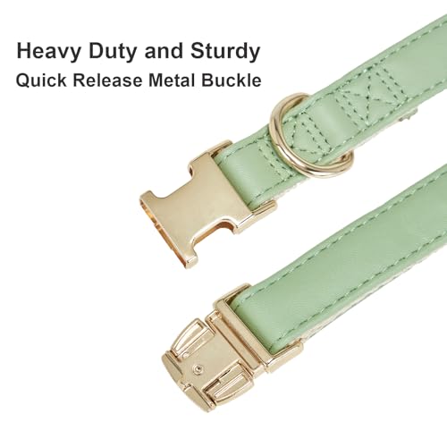 Soft Classic Leather Dog Collar Heavy Duty Padded Collars with Metal Buckle for Puppy Small Medium Dogs (Grass Green,M) - color: Grass Green, size: Medium