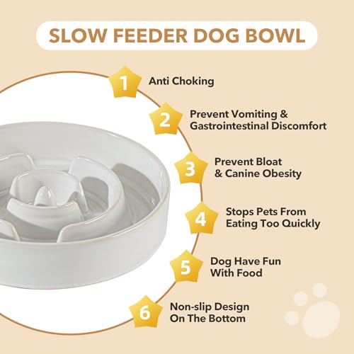 Havniva 1.2 Cup Elevated Slow Feeder Dog Bowls, 7.3” Dog Slow Feeding Bowls + 6.1” Ceramic Dog Water Bowls Set with Acacia Wood Stand, Dog Food Bowls Puzzle Feeder for Small Dogs Non-Slip Anti-choking - color: 2 x White + Stand - A, size: M- 7.3inch / 1.2