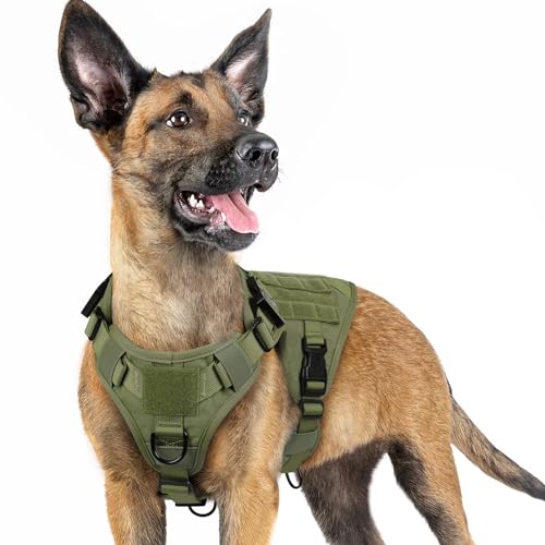 rabbitgoo Tactical Dog Harness for Small, Heavy Duty Pet Harness with Handle, No-Pull Service Vest Small Breed, Adjustable Military Dog Vest for Training Hunting Walking, Green, S - color: Green, size: Small