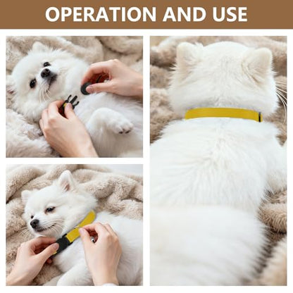 Chrome Yellow Cat Bell Collar 2 Pack Dog Collar Adjustable Length 10.6" to 17.1" - color: Chrome Yellow