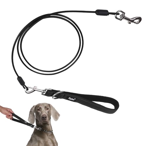 PUPTECK Chew Proof Dog Leash with Detachable Short Leashes Padded Handle Reflective, Heavy Duty Steel Cable Lead for Small Medium Large Dogs Training Walking, Black 4.9ft - color: Black