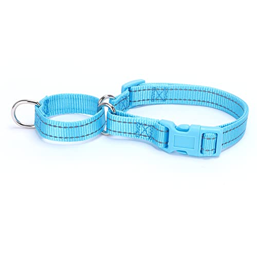 Martingale Dog Collars - Reflective Dog Collar with Quick Release Buckle Adjustable Nylon Training D Solution for Large, Medium, and Small Dogs (L, Blue) - color: Blue, size: L