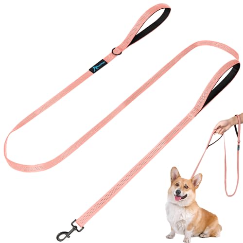 Dog Leash for Small to Medium Dogs 6 ft x 0.6" with 3 Reflective Stitching and 2 Traffic Padded Handles Dog Lead/Rope, Pet Leash for Running Walking Training (Pink 1 Pack - 6 ft x 0.6 in) - color: Pink 1 Pack, size: 6 ft x 0.6 in