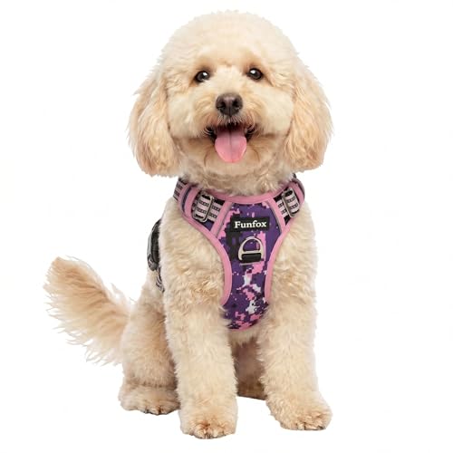 Funfox Dog Harness No Pull, Adjustable Pet Vest Harness, Super Soft Material with Vertical Handle Easy Control, Reflective Night Walking, 2 Leash Clips for Small Sized Dogs, Mosaic Pink, S - color: Mosaic Pink, size: Small