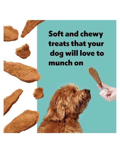 Wiggles & Wags Meaty Strips Dog Treats, Salmon Flavor, 16 oz with DN Essentials Bone Shaped Waste Bag Dispenser & Free Roll