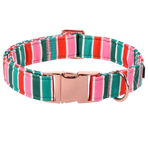 Lionet Paws Chirstmas Dog Collar, Cute Red Green Stripe Dog Collars with Metal Buckle for Puppies and Cats, XS, Neck 8-12 inches - color: New Xmas, size: X-Small (Pack of 1)