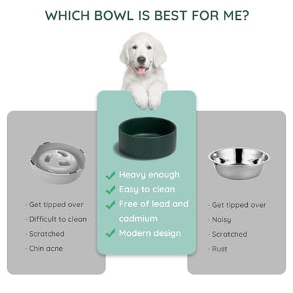 SPUNKYJUNKY 13.5OZ Ceramic Dog and Cat Bowl, Modern Cute Weighted Food Water Bowl for Replacement Green (2 Pack) - color: Green, size: 1.7 CUPS × 2