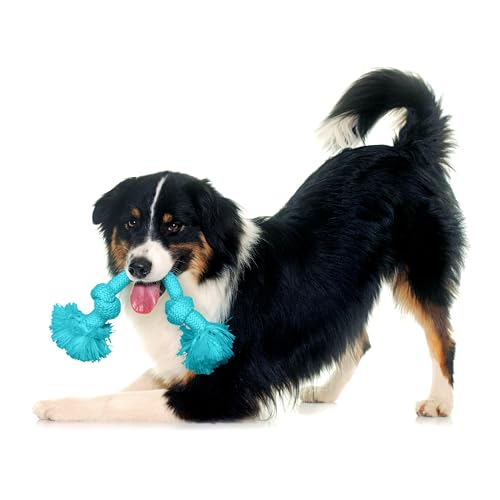 Playology Dog Toys | Dri-Tech Rope Toy Tug of War Rope for Aggressive Chewers | Medium Peanut Butter Scented Toy - Easy to Clean and Made from Non Toxic Materials - size: Medium, style: Peanut Butter