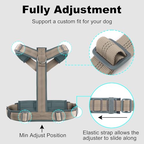 Plutus Pet No Pull Dog Harness, Adjustable Nylon Harness with Soft Padding, Reflective and Heavy Duty Dog Harness for Small, Medium, Large Dogs(Beige, XS) - color: Beige, size: XS