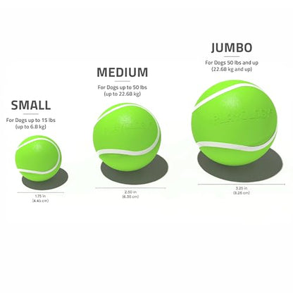 Playology Dog Toys | Squeaky Chew Ball - Bouncy Durable Floating Fetch Ball for Dogs | Medium Sweet Potato Scented Toy - Easy to Clean and Made from Non Toxic Materials - size: Medium, style: Sweet Potato