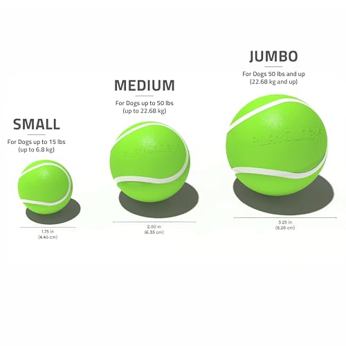 Playology Dog Toys | Squeaky Chew Ball - Bouncy Durable Floating Fetch Ball for Dogs | Jumbo Sweet Potato Scented Toy - Easy to Clean and Made from Non Toxic Materials - size: Jumbo, style: Sweet Potato