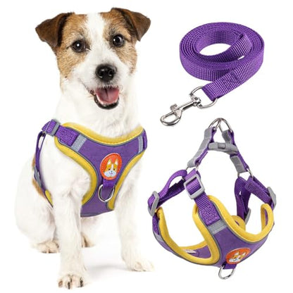 Adjustable No-Pull Dog Harness for Small and Medium Dogs, Comfortable Reflective Vest with Leash Set and Dual Clips, Secure and Lightweight Pet Walking Gear