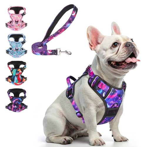 BEAUTYZOO No Pull Dog Harness and Leash Set for Small Dogs, Adjustable Dog Vest Harnesses with 2 Metal Leash Clips, Reflective Oxford No Choke Escape Proof Step in Pet Vest with Handle, Purple S - color: Starry Sky, size: S: chest 14"-24"