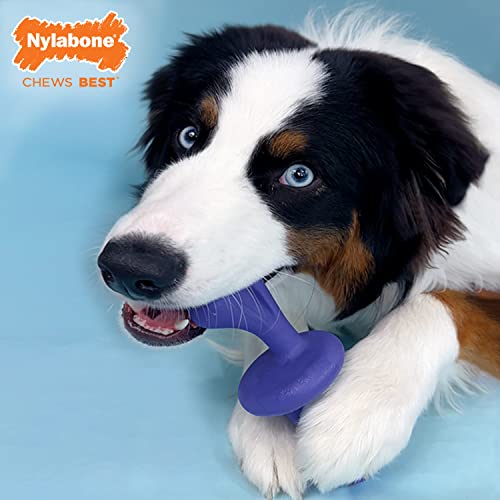 Nylabone Engaging Power Chase 'N Chew Toy for Dogs, Rolling & Spinning Interactive Dog Toys for Aggressive Chewers, Purple, Bacon Flavor, Large - Up to 50 lbs, 1 Count