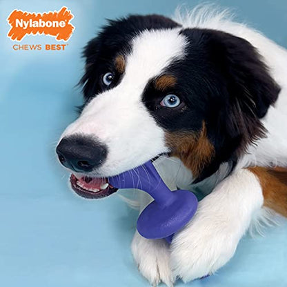 Nylabone Engaging Power Chase 'N Chew Toy for Dogs, Rolling & Spinning Interactive Dog Toys for Aggressive Chewers, Purple, Bacon Flavor, Large - Up to 50 lbs, 1 Count