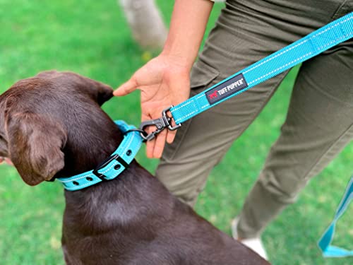 Tuff Pupper Heavy Duty Double Handle Leash | Twist Locking Carabiner Clip | Safety Lock for Strong Dogs | Reflective for Safe Night Walks | 6 Foot Leash | For Medium & Large Dogs - color: Teal
