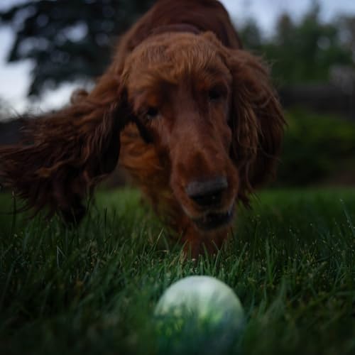 Outward Hound by Planet Dog Strobe Ball Glo Light Up LED Ball Dog Toy - color: Glow in the Dark Strobe Toy
