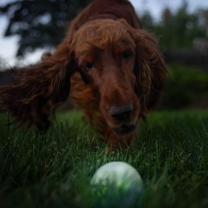 Outward Hound by Planet Dog Strobe Ball Glo Light Up LED Ball Dog Toy - color: Glow in the Dark Strobe Toy