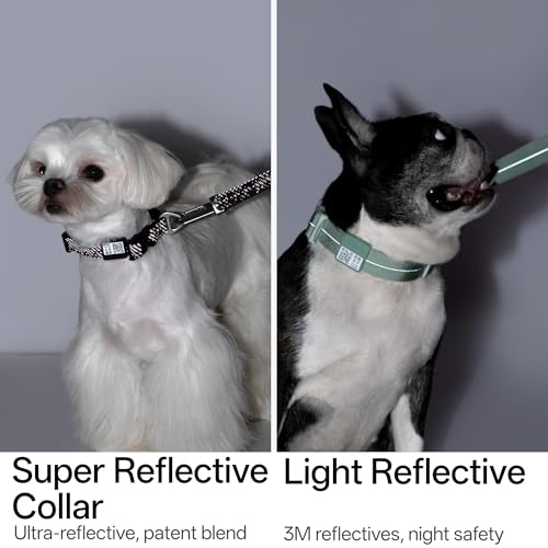 All-Weather Dog Collar Reflective Adjustable Soft Nylon QR Code Anti-Lost Collar Breathable with Quick-Release Buckle Patent Alloy Ring for Small Medium Large Dog (Light-Olive, L) - color: Light-Olive, size: L
