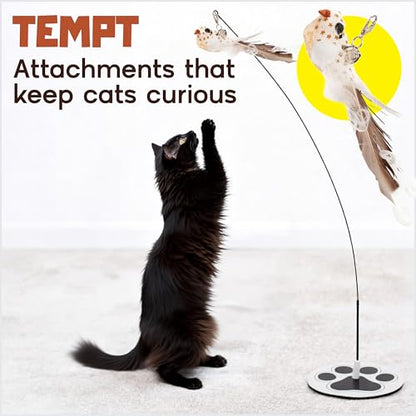 Interactive Cat Toys for Indoor Cats - 5 Replacement Feathers with Bells - Teaser Wand Toy - Self Play Bird Simulation - Bored Adult Feline Hunting Solo Chaser Activity - Kitten Juguetes para Gatos - color: Pounce & Play Bundle
