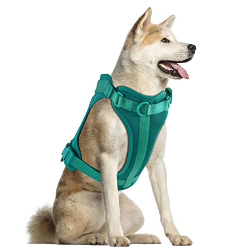 No Pull Lightweight Dog Harness: Adjustable Breathable Pet Vest Harness with Soft & Comfortable Cushion for Small Medium Large Dogs (L, Emerald Green) - color: Emerald Green, size: L:Neck=17"-22"/Chest=25"-36.5"