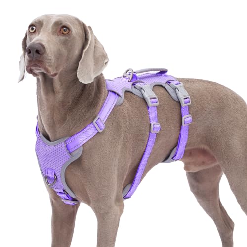 Huntboo Escape Proof Dog Harness, No Pull Reflective Harness with Lift Handle,Adjustable Pet Vest with Front and Back Leash Clips for Small Medium Large Dogs Walking Hiking Training(Lavender Purple,L) - color: Lavender Purple, size: Large(Pack of 1)