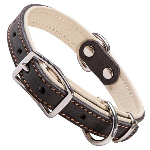 ADITYNA Heavy-Duty Black Leather Dog Collar for Small Dogs - Soft Padded for Comfort - Small Dog Collar for Walking, Training, and Hiking - color: Black, size: Small: Fit 10-14.5" Neck