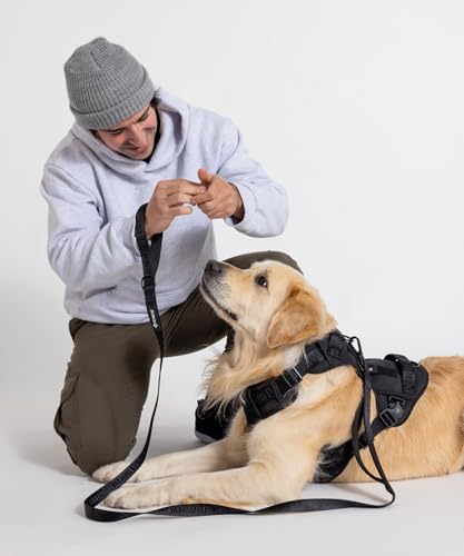 2026 New Edition, Fei & Eve MagEase Dog Harness - Instant Magnetic Buckle | 3-Point No-Pull Control | Heavy-Duty 900D Nylon | Dual Safety Handles | Breathable Mesh | Adjustable Fit | Small,Black - color: Black, size: S