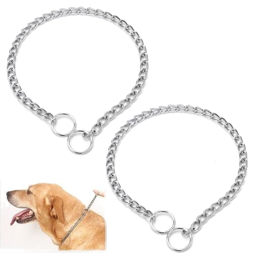 Silver Choke Chain for Dogs, 2Pack Heavy Duty Training Choker Collar for Dogs Metal Slip P Link Martingale Collars Puppy Chain for XXS XS Small Medium Large Dog, XL - color: 2Pack Silver, size: XL(Neck Max 22inch)D4mm