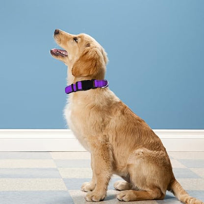 Reflective Dog Collar, Adjustable Soft Neoprene Padded Nylon Pet Collars with Buckle for Puppy and Small Dogs, Cats, Purple,XS - color: Purple, size: X-Small