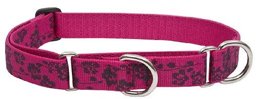 LupinePet Originals 1" Plum Blossom 15-22" Martingale Collar for Medium and Larger Dogs - size: 1"W; 15-22" Neck