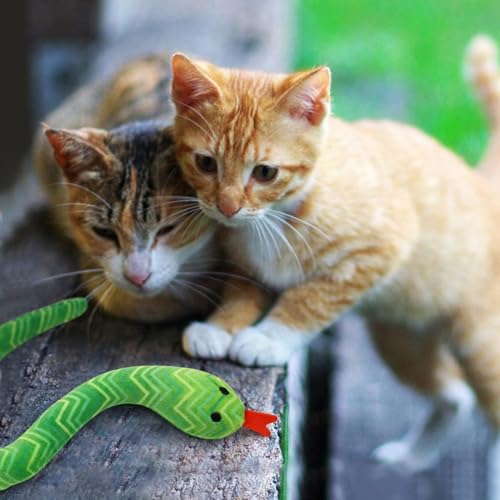 CiyvoLyeen 5 Pack Snake Cat Toys Catnip Toys for Indoor Cats Kitten Supplies Interactive Snakes Cat Toy Birthday Gift for Cat Lovers Dental Health Chew Toy - color: Snake - 5Pcs