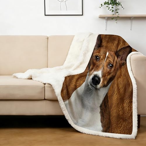 BlessLiving Basenji Throw for Dog Lover Soft Animal Puppy Sherpa Fleece Blanket for Bed Couch Pet and Dog Lovers Home Throw Blankets (Throw, 50 x 60 Inches) - color: Basenji, size: Throw, 50 x 60 Inches