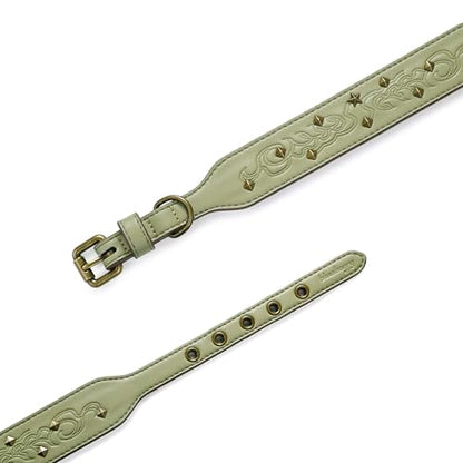 Blueberry Pet Premium Embossed Sage Green Glam Silver-Powered Freshness Microfiber Leather Dog Collar with Antique Brass Studs - color: Sage Green, size: Small