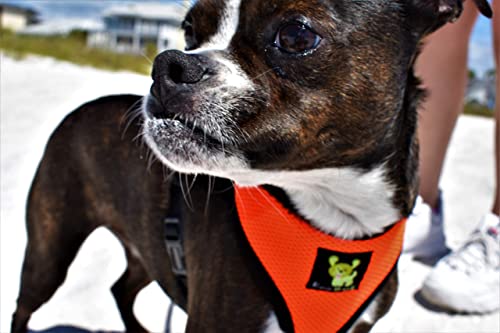 Dog Harness Soft Gentle No Pull No Choke Dog Harnesses Double Padded Halter Ultra Cushion Walking Breathable Mesh Dog Vest for Puppies XS Small Medium Large XL (Medium (Neck 12 to 14 in), Orange) - color: Orange